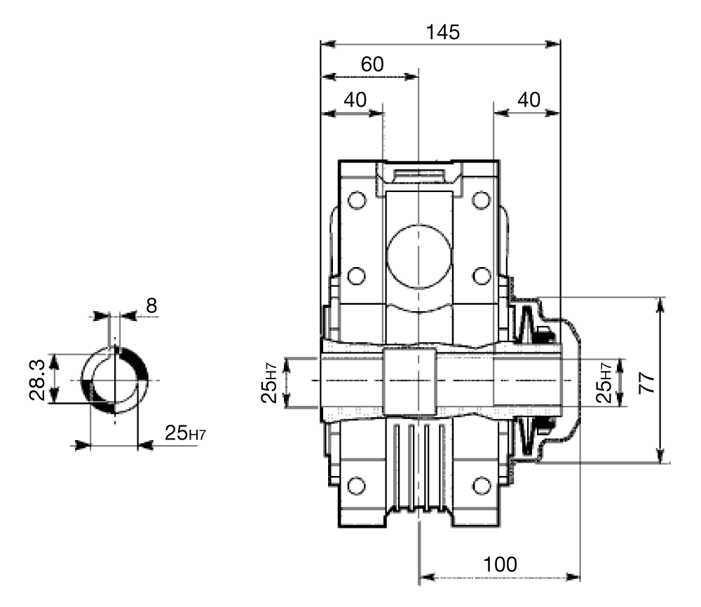 Maatschets Bonfiglioli wormwielkast met ingebouwde koppelbegrenzer type W63