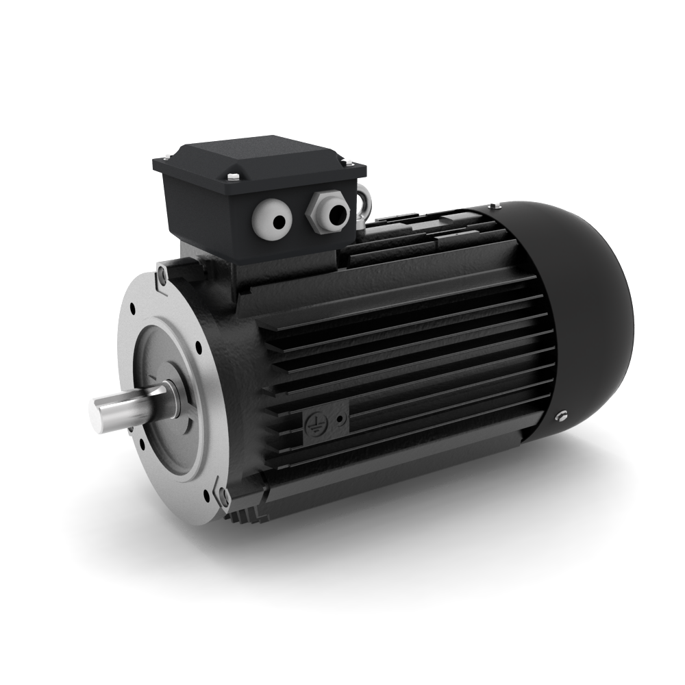 ELSTO YE3-serie gietijzeren draaistroommotor IE3 bouwvorm B14b schuin voor aanzicht