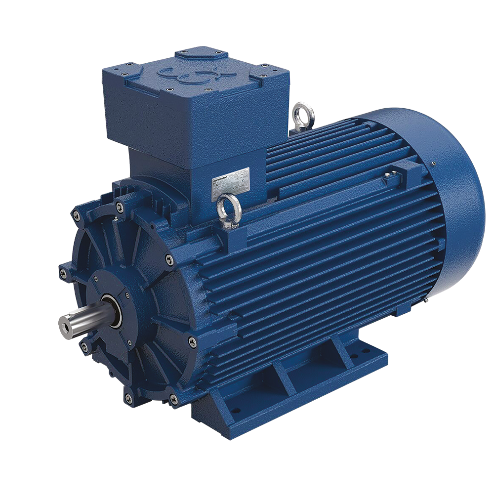 
    Elprom explosion-proof flameproof ATEX three-phase motor AS-series design B3 color blue